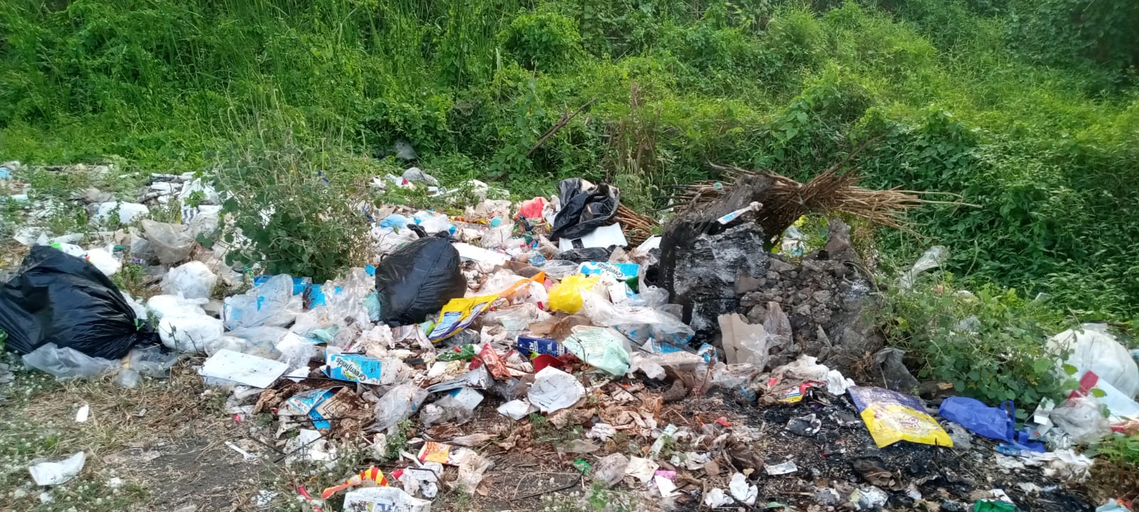 Jalur Strategis Pantura Probolinggo Kian Kumuh, Warga Minta DLH Bergerak Cepat