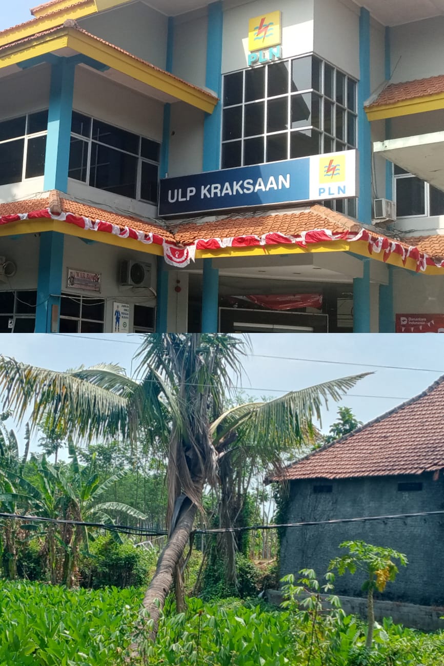 Bahaya Mengintai di Dekat Rumah Warga, Pohon Timpa Kabel PLN; Hans Tua M. Sinaga Dikonfirmasi Bungkam